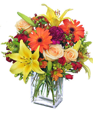 Assorted Spectacular Flowers